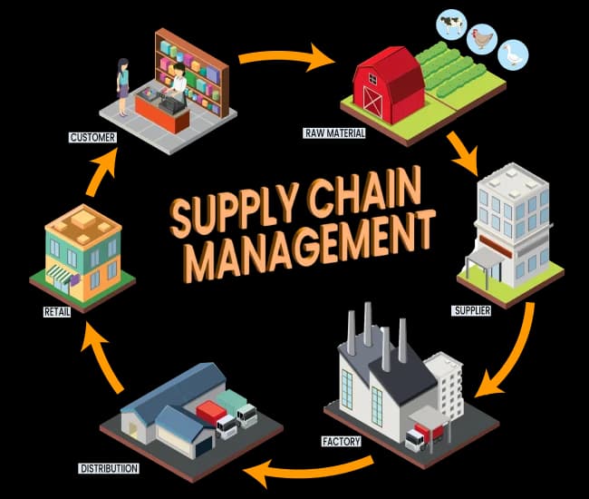 Supply Chain Management Cycle